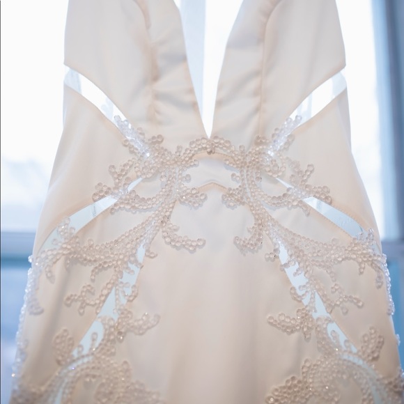 Pnina Tornai Wedding Dress - Picture 14 of 15